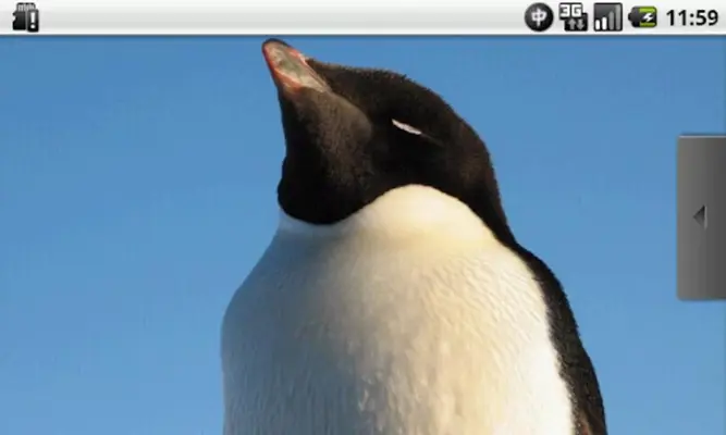 Full of Penguins Free android App screenshot 0